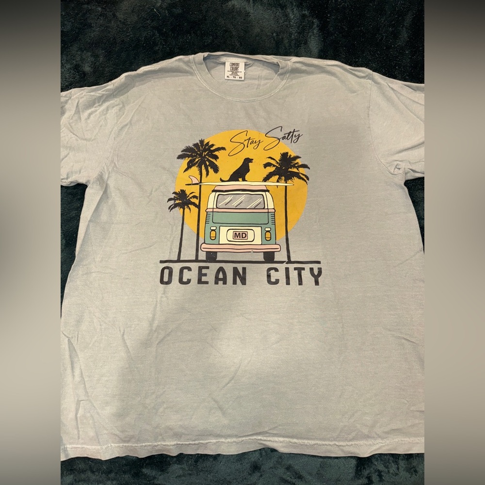 Ocean City Maryland Stay Salty Tee | Sea Salt Green Surf Van Dog Beach Shirt